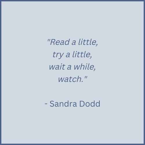 Homeschooling quote
